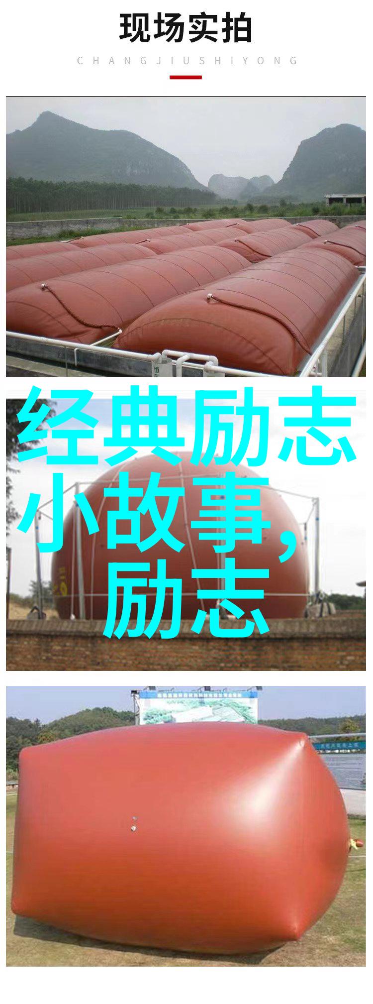 燕子传奇-翱翔蓝天揭秘燕子栖息的神秘故事