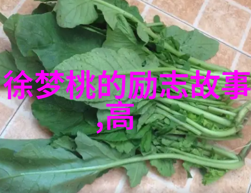 情感共鸣深入解析网络上流行的情感语录