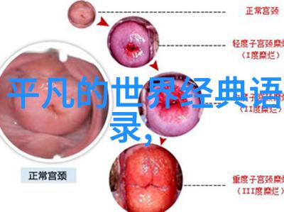 中国优秀人物素材弘扬中华精神传承历史荣光