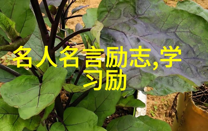 春天的经典语录记住这句花开不再等待春风只为你早点绽放