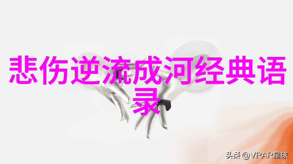 于建嵘的贺炜经典语录戏剧化回顾