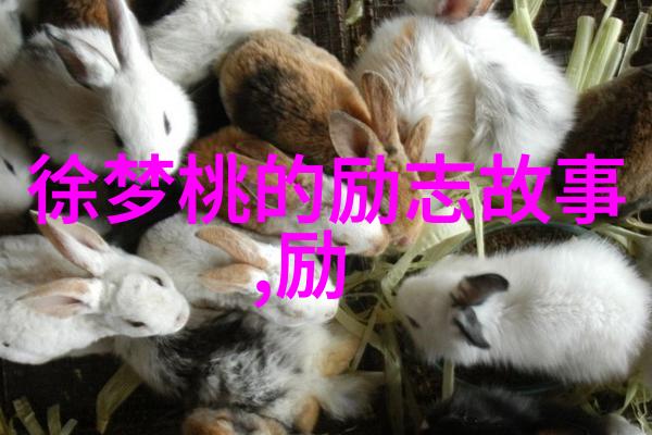 励志名人偶像我虽无天赋却能更上一层楼