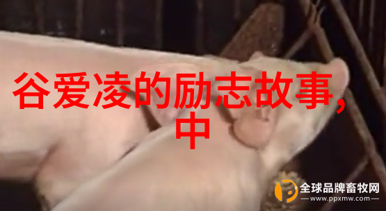 经典励志小故事大道理 - 李雷的坚持与突破
