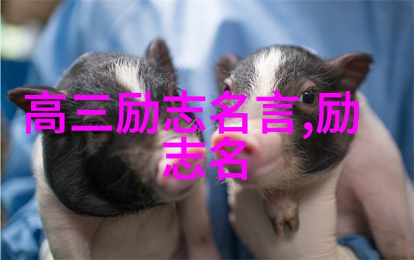 心痛泪流深度探究伤感日志大全看完哭了的情感背后