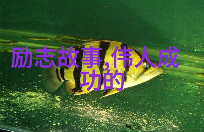 爱情宣言经典语录-心之桥温馨回忆中的爱情誓言