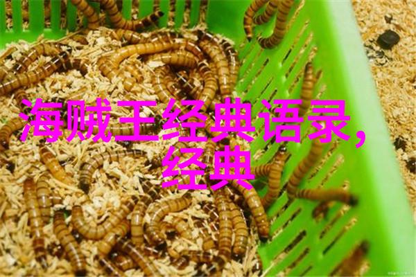 中国最具正能量明星 - 李荣浩演唱会上的灯塔心灵的慰藉