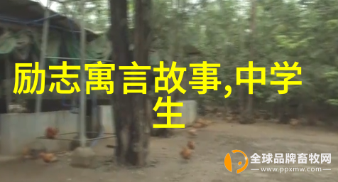 追梦者之路从懵懂到卓越的励志历程