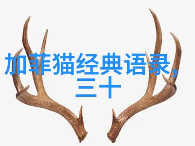 心情日志网站上的我面对老婆的质疑我几乎喘不过气来仿佛被堆积如山的物品压得喘不上气来
