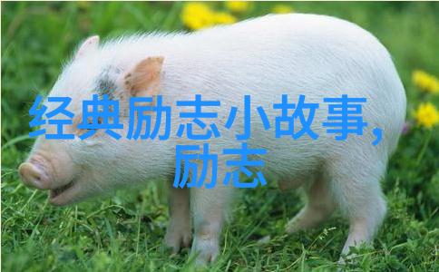 婆媳的战国时代和谐相处的艺术与策略婆媳关系如何避免对立走向共赢
