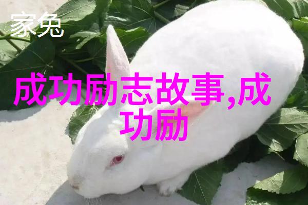 林语堂作品中的道德教训及其对当代社会的启示