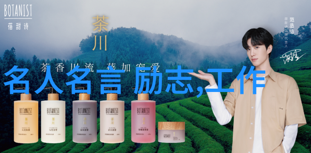 跨文化奋斗中外励志故事的激情篇章
