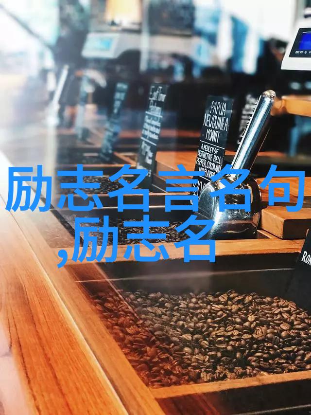 中国典型人物励志故事-李雷从农村小伙到成功企业家
