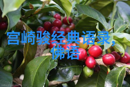 1. 贺炜经典语录背后隐藏着什么故事