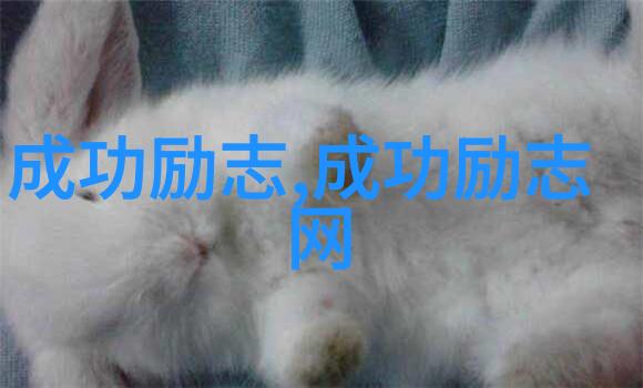 砥砺前行在职场上拼搏的中年女性