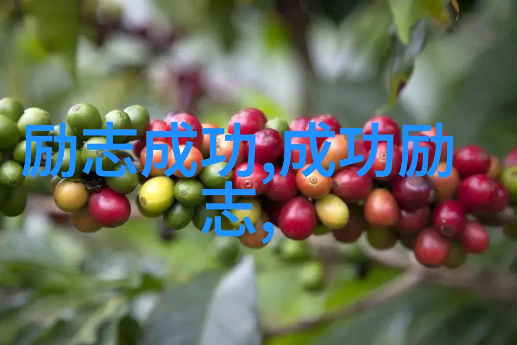 婆媳争霸战国时代的相亲记