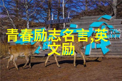 从街头小贩到亿万富翁逆袭的传奇旅程