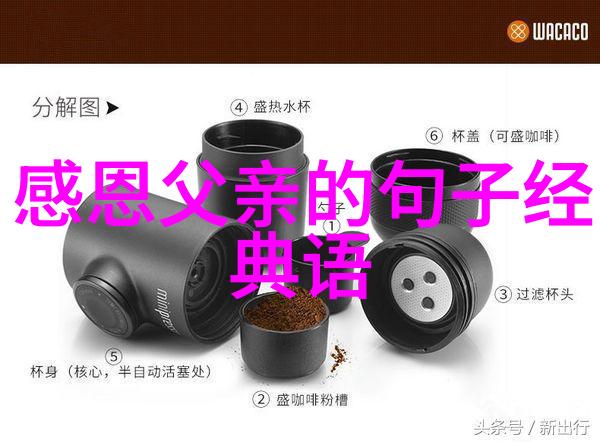 偶像激励粉丝的真挚力量榜样与感动的交响曲