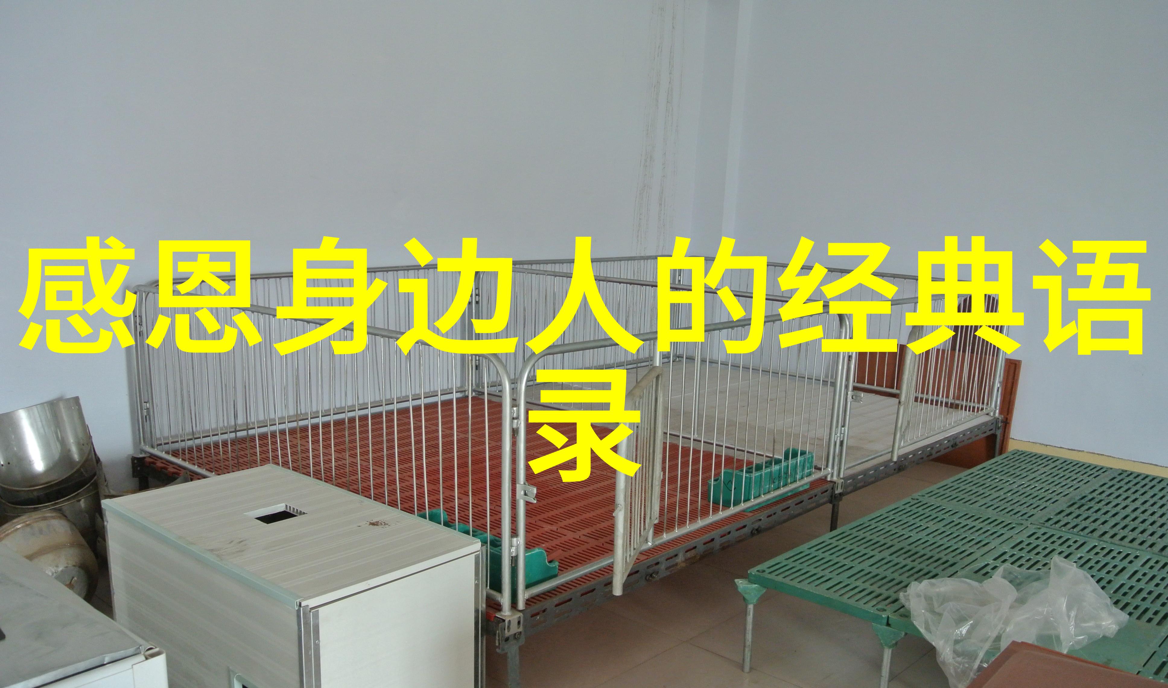 创业奇迹比尔盖茨和微软的崛起
