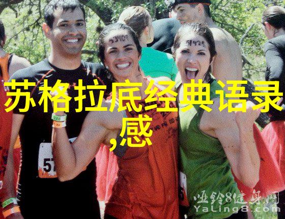 陈学冬泰戈尔经典语录中的梦想与现实之间是不是你也在寻找答案