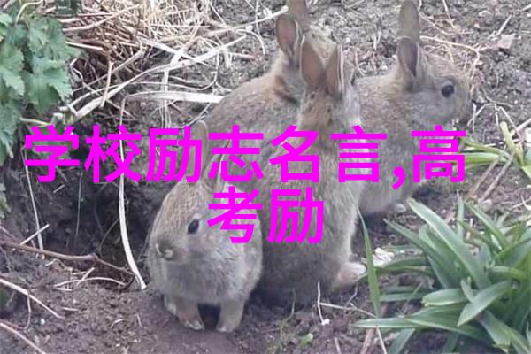 主题我怎么就找到了这个王者荣耀黄化视频网站入口了