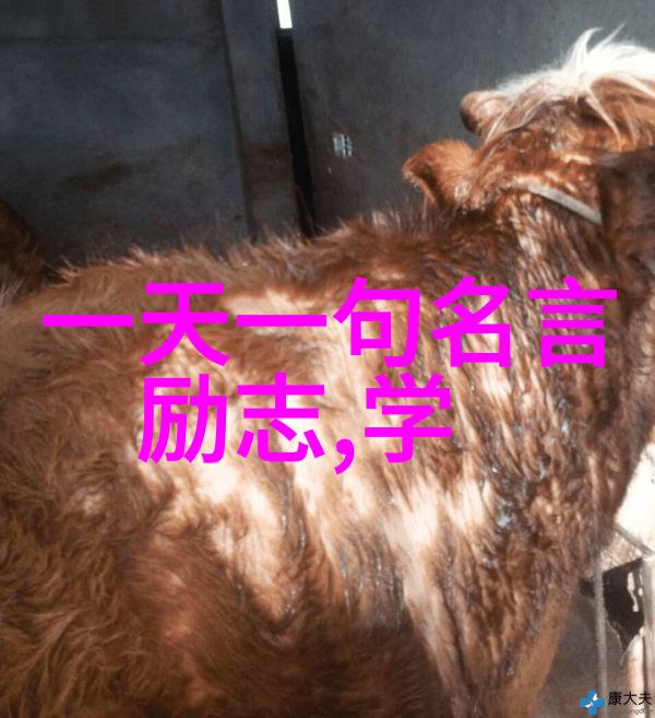 文化传承与创新  莫言的话语中所蕴含之意义