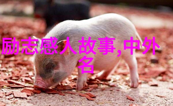 2020感动中国人物故事英雄在时疫情防控的逆袭