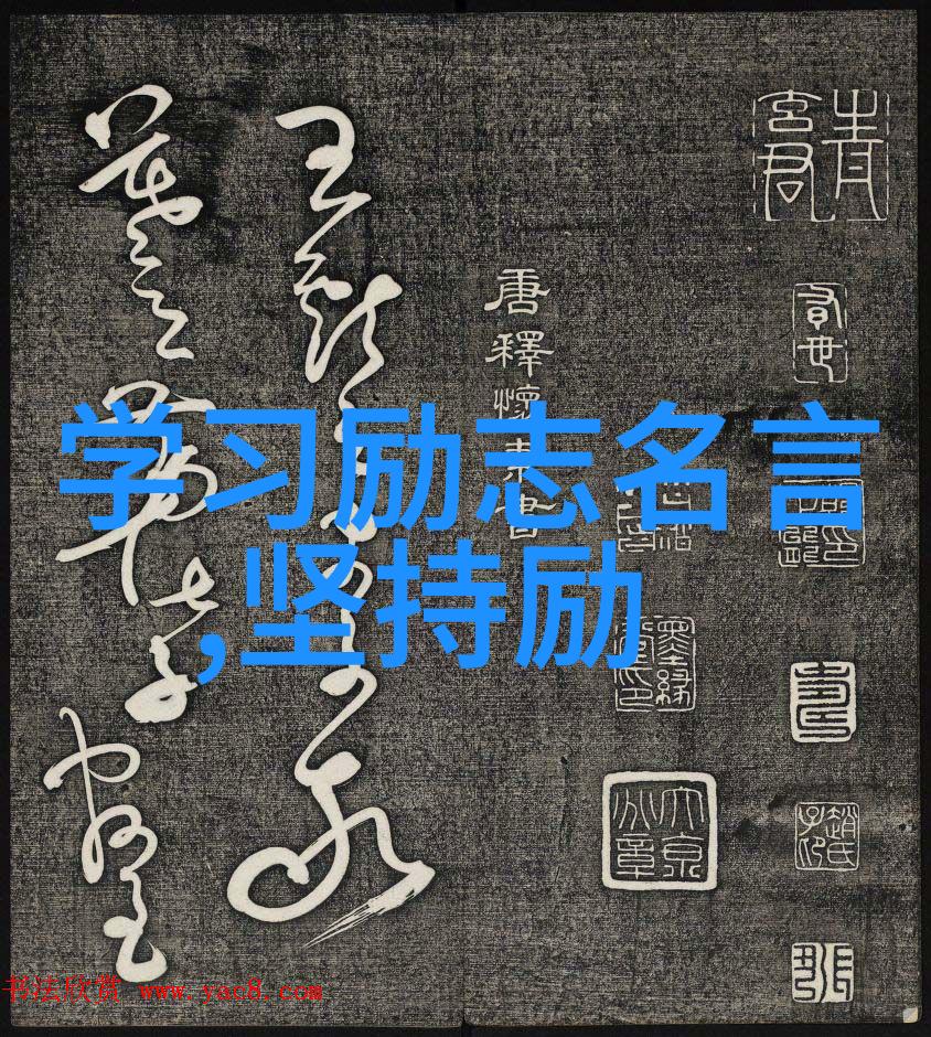 乔布斯神话网红时代的灵魂激励者