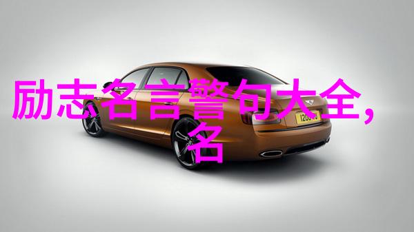 智慧之光一条学者的励志旅程