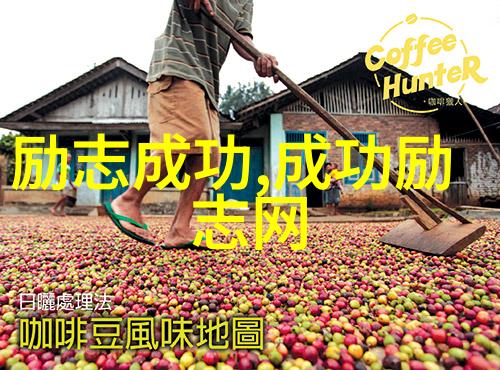逆袭之路从贫困村庄到世界舞台的中国梦