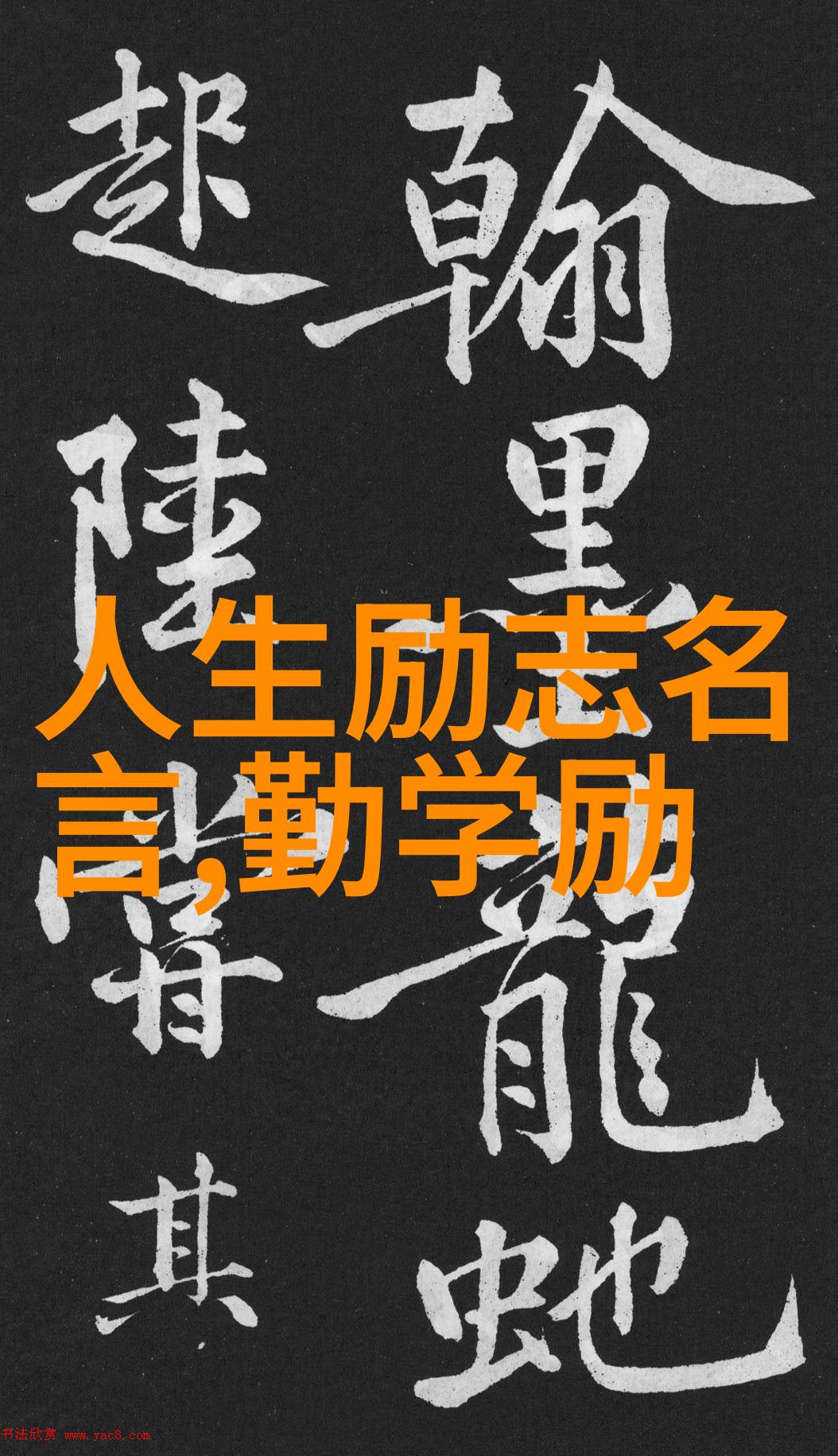 科学探索者一代科研巨人的研究历程
