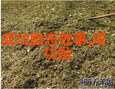 跨文化辉煌一位华裔女孩的美国梦