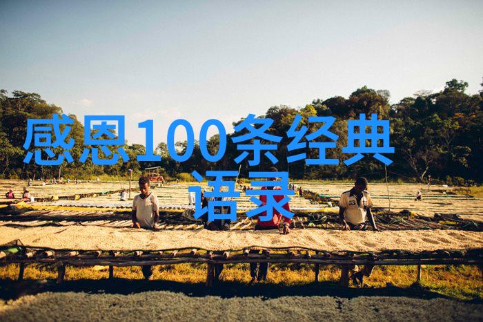 朋友杂谈友情链接代码的编写难道不是我们共同创造的吗