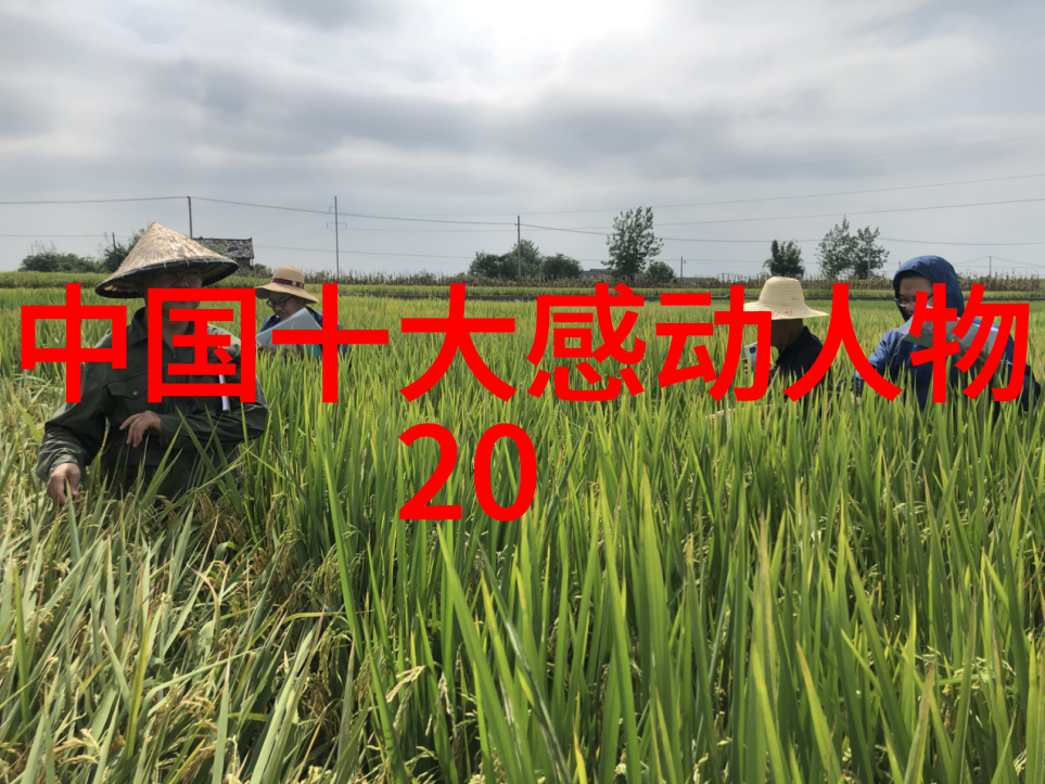 中国典型人物励志故事现代我是李雷一个小城里的少年我如何从卖菜到创业的奇妙历程