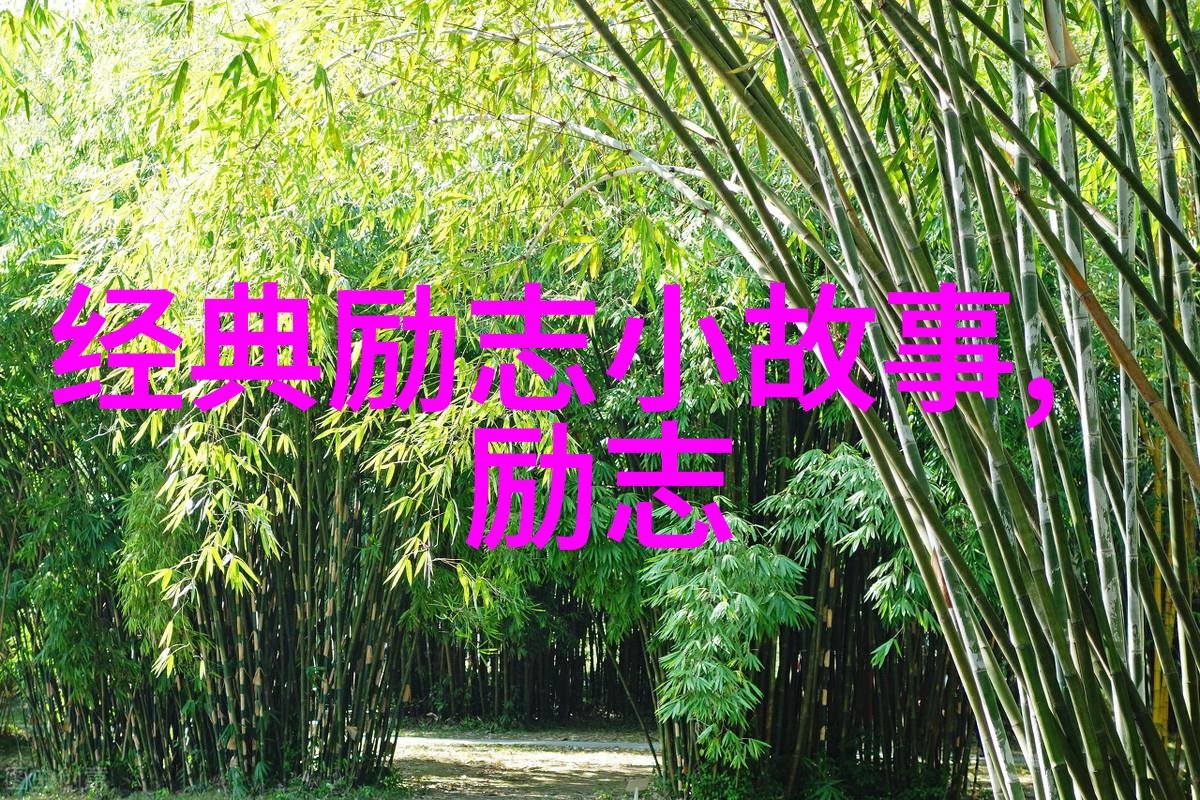 无人区的秘密影院探索免费观看视频完整版的神秘世界
