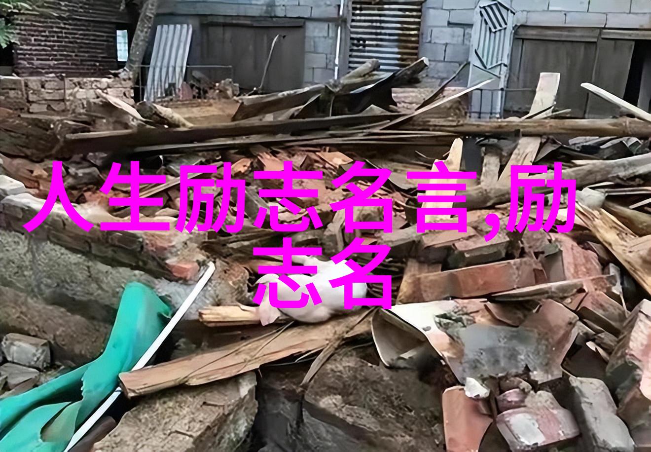 科学与智慧-种子之父袁隆平的智慧篇