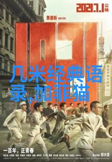 郭敬明文集中的自我探索与生活哲学