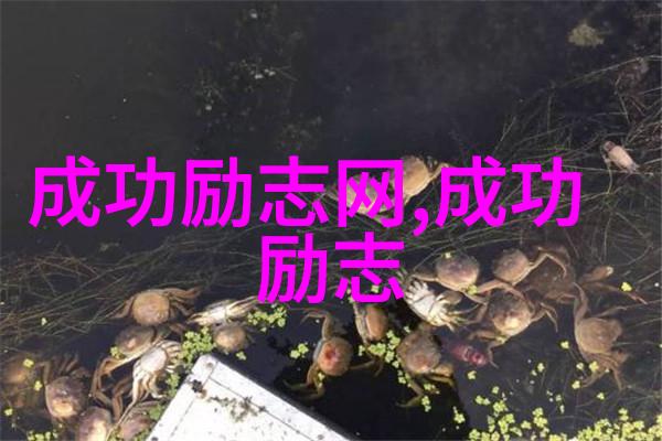 不屈之魂逆袭的守护者