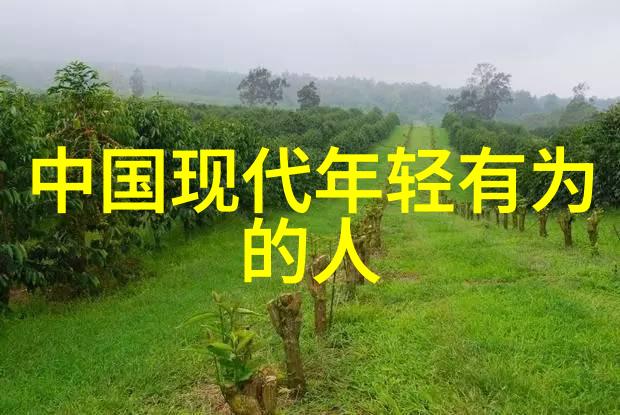 追梦者一位年轻人的成长历程
