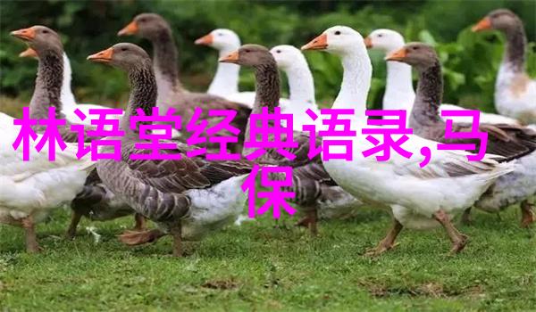 阿司匹林药丸缓解头痛退热的常用非处方药物