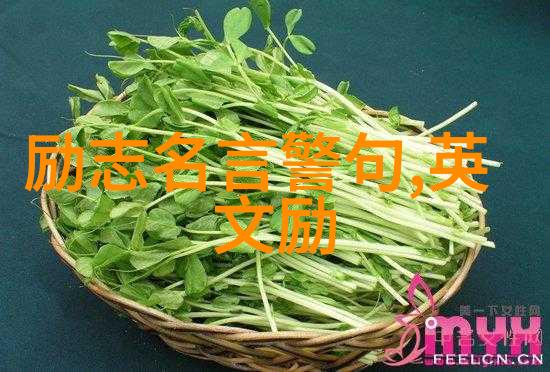 传奇人物李雷的逆袭李雷从零到英雄的励志故事