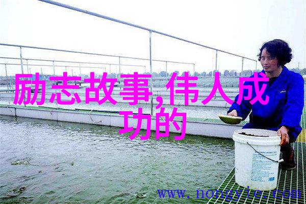学无止境点亮梦想之光