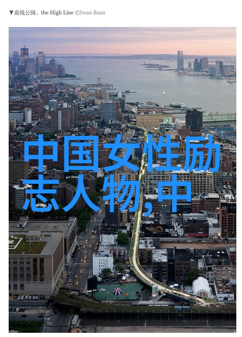 逆袭的孤狼从街头小混混到硅谷巨擘