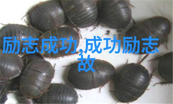 明星逆袭传奇名人励志故事的精彩积累