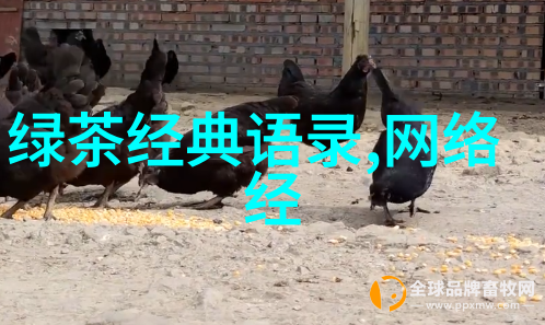 逆袭之星90后创业者李明的故事