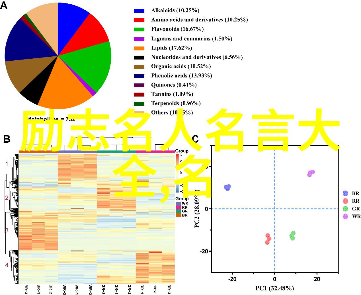 从零到英雄体育界最励志人的成功故事