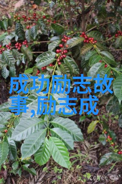 两个人的小故事实况足球2012中的生涯模式仿佛在向我们诉说着如何快速进阶的故事