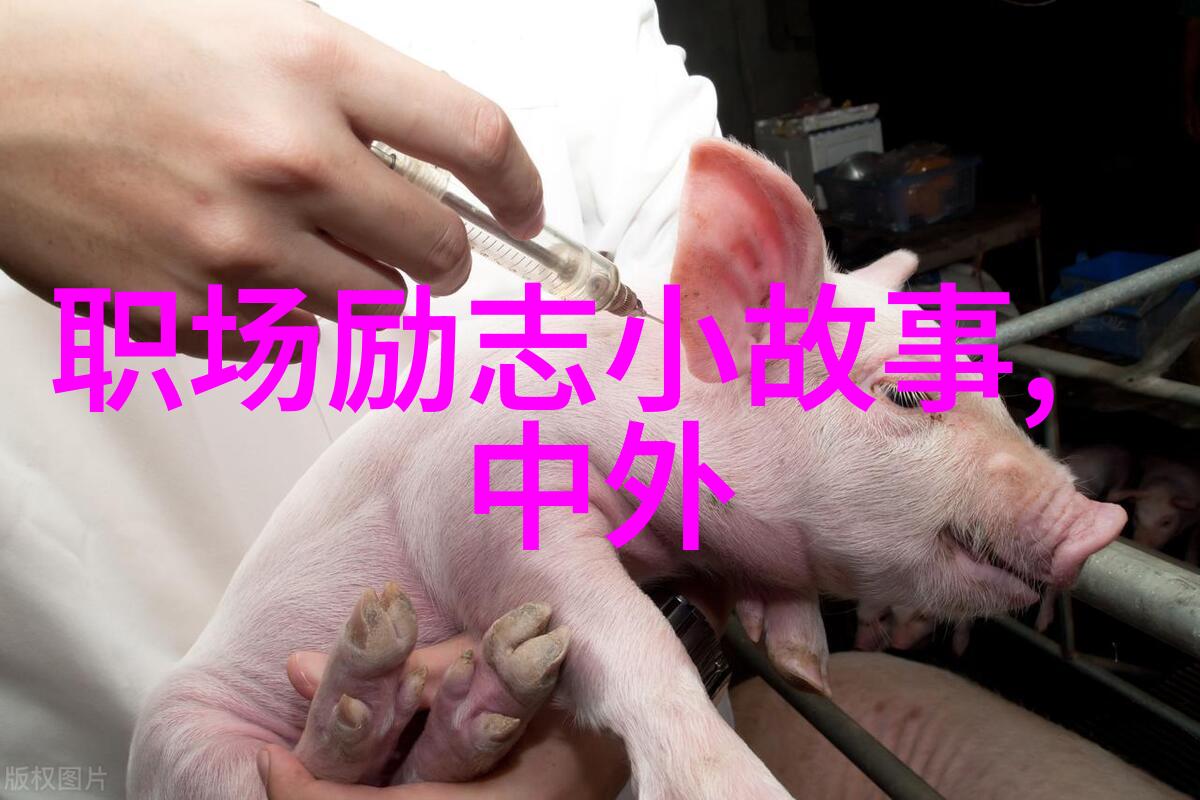 从逆境中崛起一则励志小故事的大道理探索
