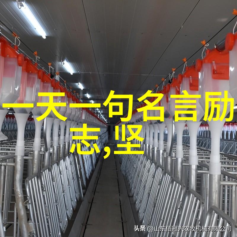 追梦者跨越逆境的不懈追求