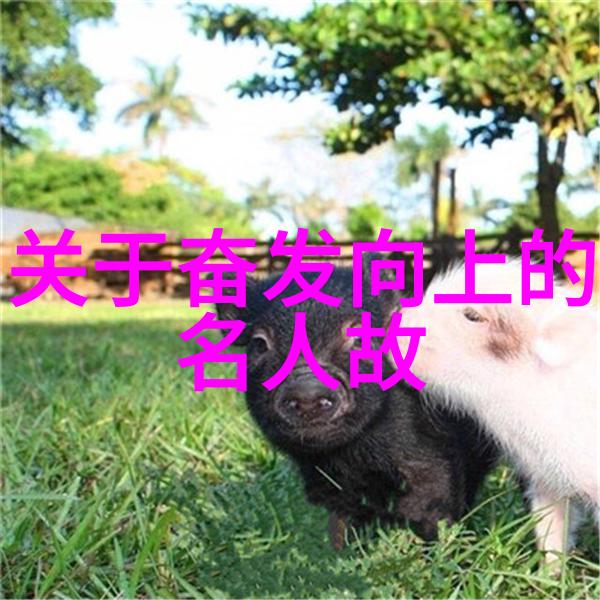 逆袭故事90后的正能量人物追梦者与社会的交响曲