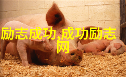 婆媳的战国时代全集免费播放40集揭秘儿媳5大关键承诺